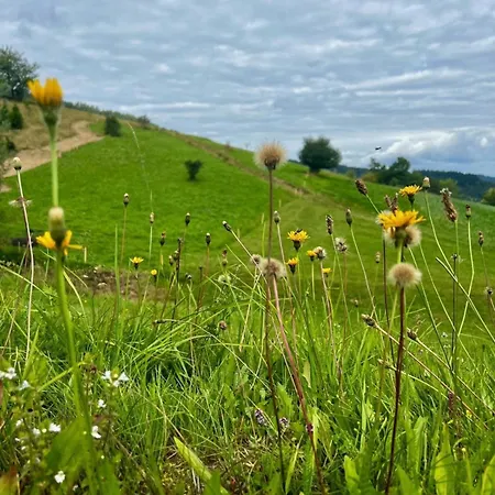 Сasa de vacaciones La Vallée ďhágy - *